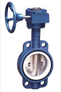 襯氟對(duì)夾式蝶閥 襯氟對(duì)夾式蝶閥